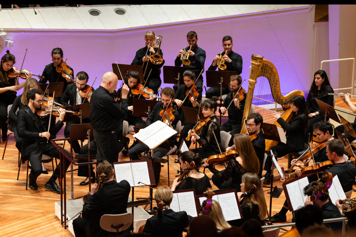 Im Einklang der Künste