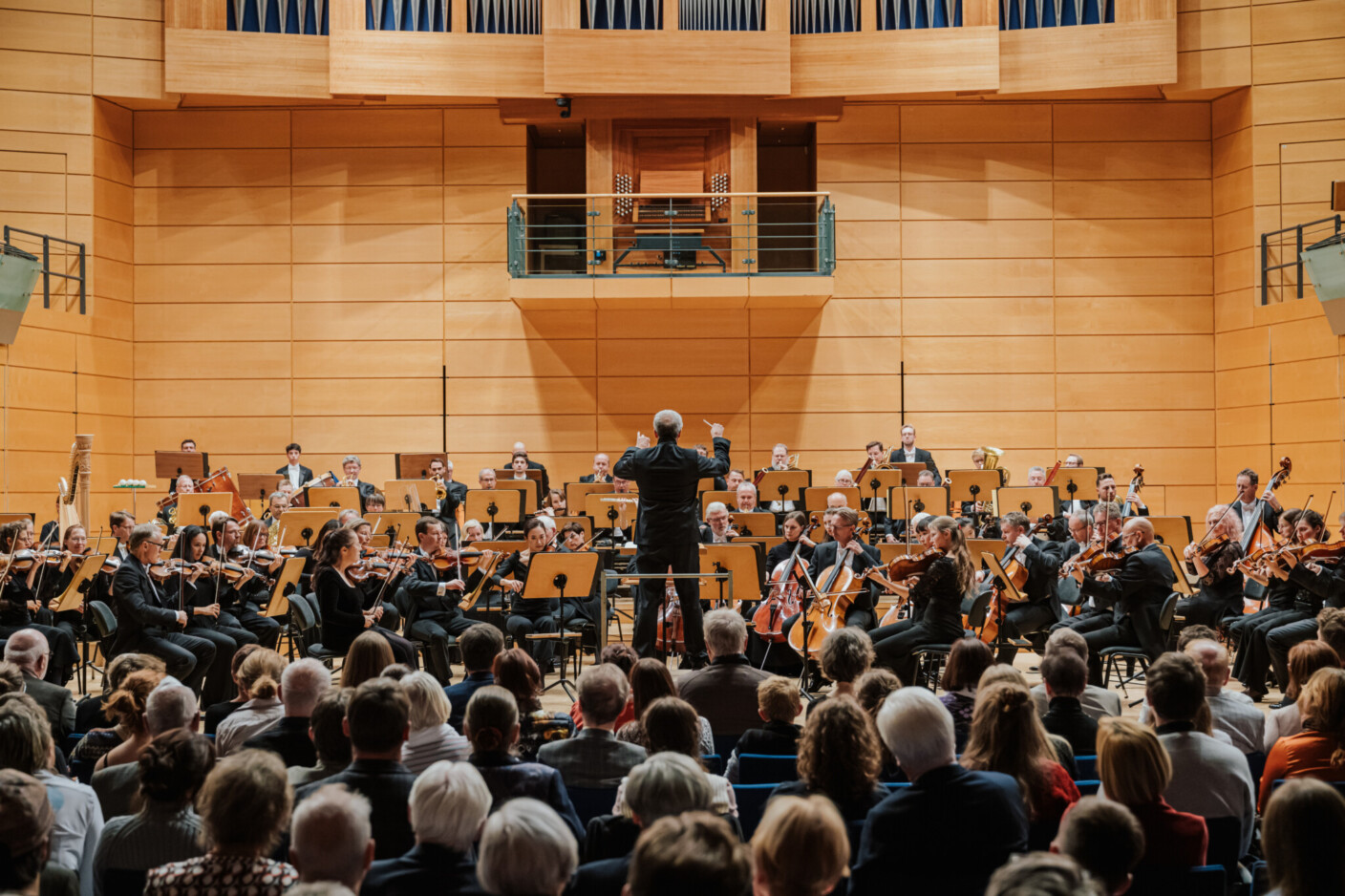 Die Staatskapelle Halle steht unter Leitung von Fabrice Bollon